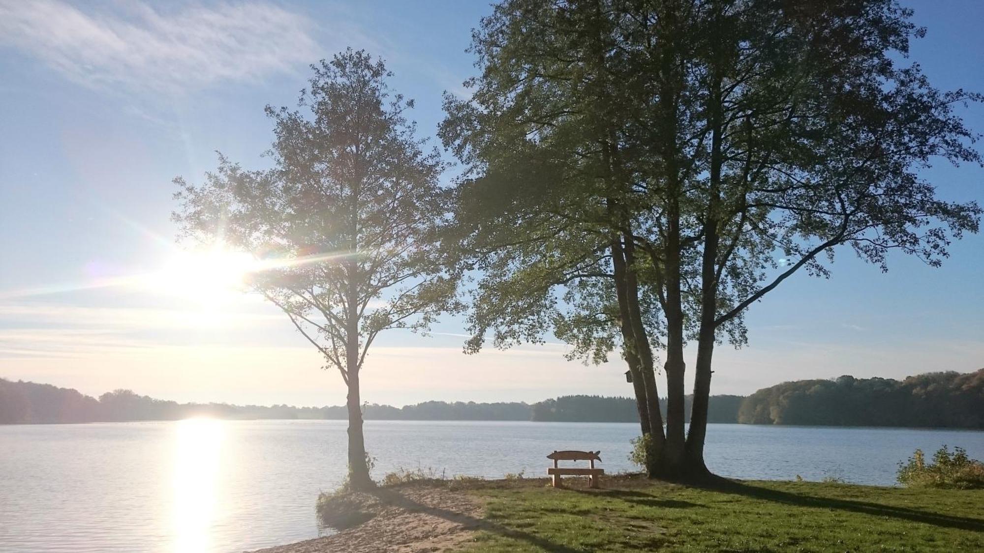 Baumzelt Villa Wittenborn Bagian luar foto