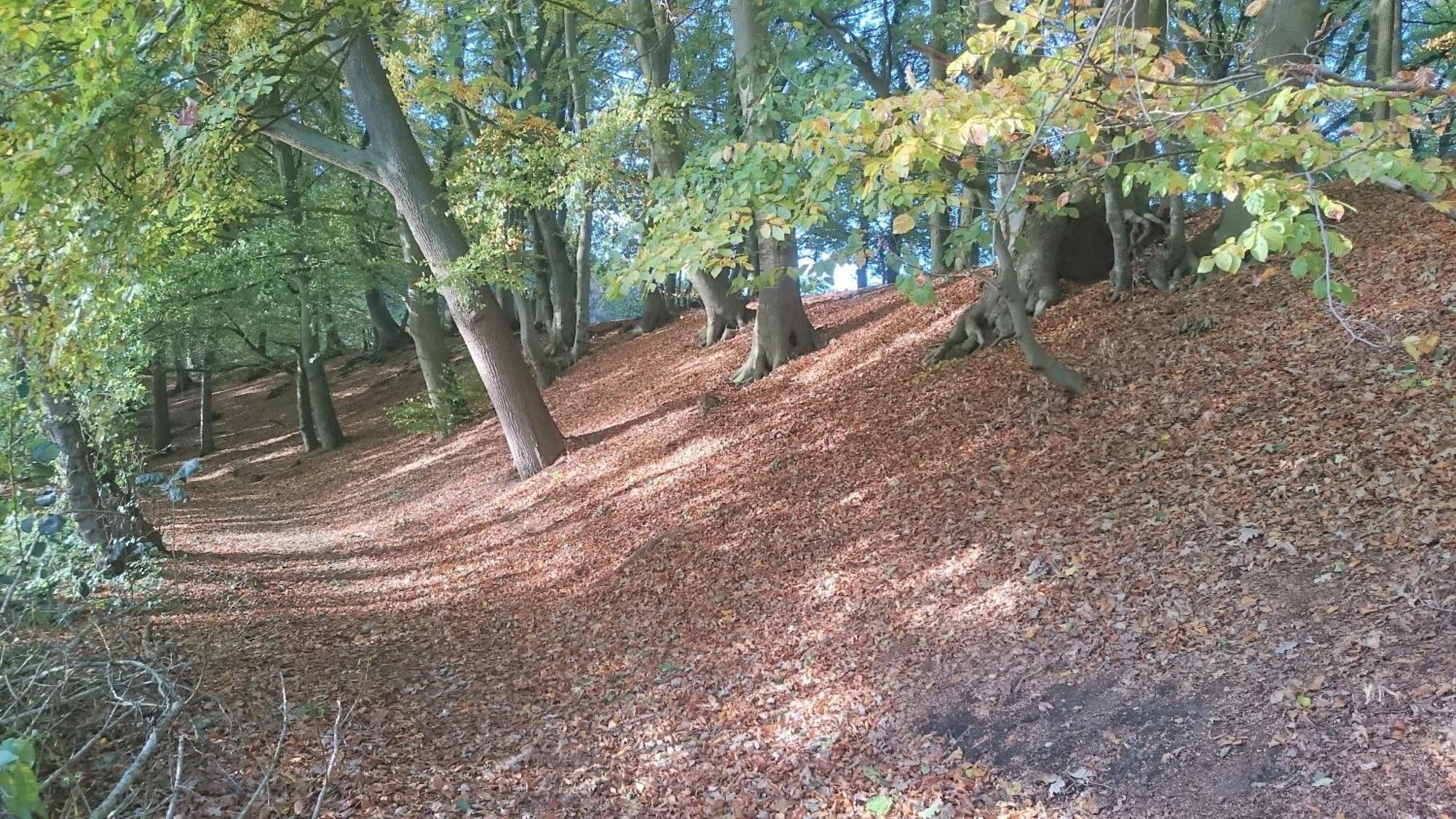 Baumzelt Villa Wittenborn Bagian luar foto
